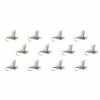 New 😉 Para Wulff 12 Pack Montana Fly Company Dry Flies 🧨 -Fly Fishing Shop BWO 1