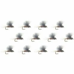 Best reviews of ⌛ RS2 12 Pack Montana Fly Company Nymphs 💯