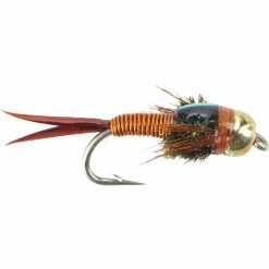 Budget ๐ BH Epoxyback Copper Nymph 12 Pack Montana Fly Company Nymphs ๐ 8 Budget ๐ BH Epoxyback Copper Nymph 12 Pack Montana Fly Company Nymphs ๐ -Fly Fishing Shop NYM D1