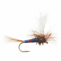 New π Para Wulff 12 Pack Montana Fly Company Dry Flies 𧨠11 New π Para Wulff 12 Pack Montana Fly Company Dry Flies 𧨠-Fly Fishing Shop PAT D1