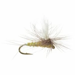 New π Para Wulff 12 Pack Montana Fly Company Dry Flies 𧨠13 New π Para Wulff 12 Pack Montana Fly Company Dry Flies 𧨠-Fly Fishing Shop PMD D1 2
