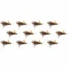 Buy ❤️ Godzilla Hopper 12 Pack Montana Fly Company Dry Flies 🎁