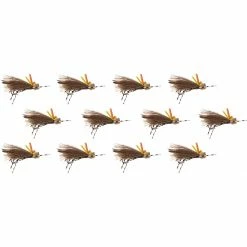 Buy β€οΈ Godzilla Hopper 12 Pack Montana Fly Company Dry Flies π