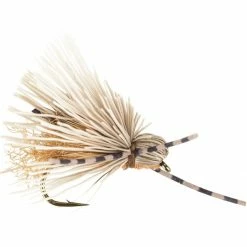 Best deal β¨ Galloup's Butch Caddis 12 Pack Montana Fly Company Dry Flies π 5 Best deal β¨ Galloup's Butch Caddis 12 Pack Montana Fly Company Dry Flies π -Fly Fishing Shop TN D1 4